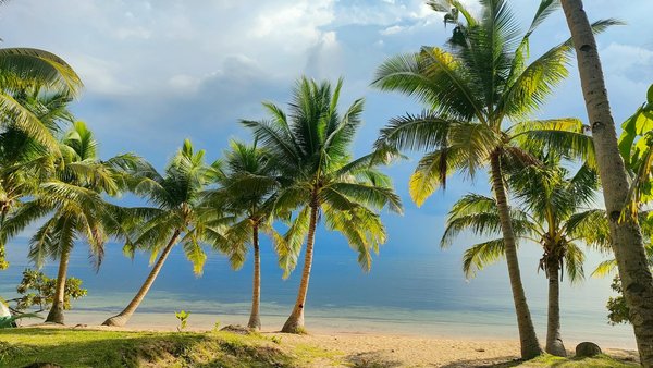 ¿Cuáles son las mejores actividades para disfrutar de un viaje de turismo musical en Nueva Orleans?